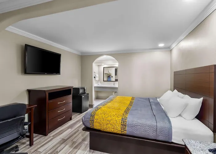 Apartament z 1 sypialnią